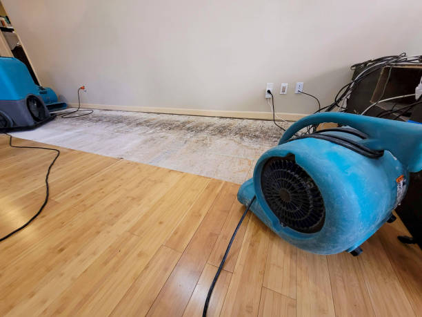 Professional Structural Drying technician working in Sharon, WI